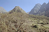 The Inca Trail towards the Dead Woman pass 